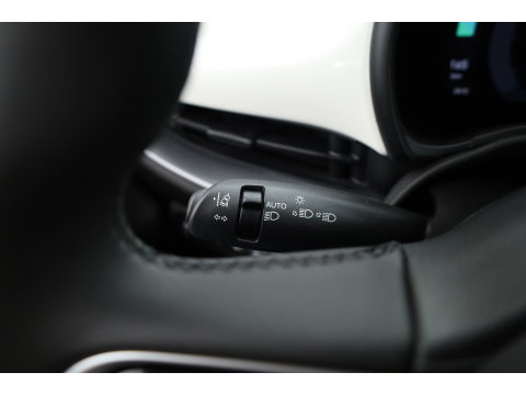 Fiat 500 42 kWh | Rijklaar! | Cruise Contr. | Keyless | Camera | Stoelverw. | Dodehoek | Apple CarPlay | PDC V+A
