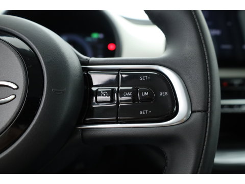 Fiat 500 42 kWh | Rijklaar! | Cruise Contr. | Keyless | Camera | Stoelverw. | Dodehoek | Apple CarPlay | PDC V+A