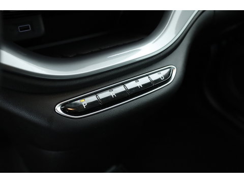 Fiat 500 42 kWh | Rijklaar! | Cruise Contr. | Keyless | Camera | Stoelverw. | Dodehoek | Apple CarPlay | PDC V+A