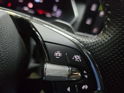 Škoda Octavia Combi 1.4 TSI RS iV PHEV Business Pano HUD Navi Clima 18"LM