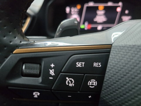 CUPRA Formentor 1.4 e-Hybrid VZ Performance Pano 360 camera clima cruise carplay 19"LM SOH 95.6%