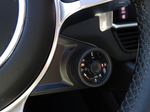 Porsche Cayenne 3.0 E-Hybrid 462PK / sportDesign / softclose / Bose / BTW / 360°