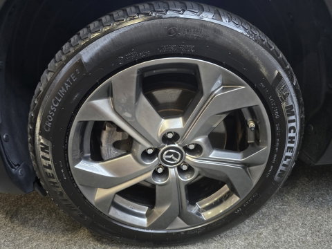 Mazda MX-30 E-SkyActiv 145 First Edition 36 kWh Clima Cruise Navi PDC LM
