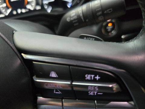 Mazda MX-30 E-SkyActiv 145 First Edition 36 kWh Clima Cruise Navi PDC LM