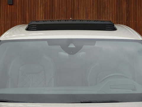 Audi Q8 60 TFSIe 462PK Quattro S-line / Massage / B&O / Audi Exclusive / 360°