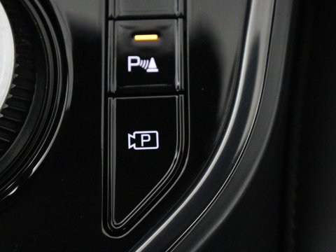 Kia Niro EV DynamicLine 64.8 kWh | Adaptive cruise | SOH 96,9% | Half leder | Carplay | Full LED | Keyless | Sfeerverlichting | File Assistent | Camera | Navigatie | Parkeerhulp | Climate control