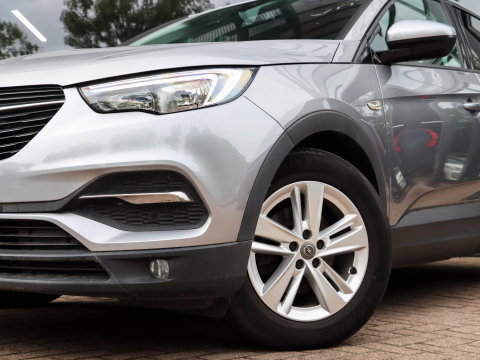 Opel Grandland X 1.2 Turbo Online Edition | Trekhaak