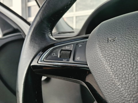 Škoda Rapid Spaceback 1.0 TSI Greentech Drive ** NET BINNENGEKOMEN | PANO | CRUISE | STOELVERWARMING | TREKHAAK