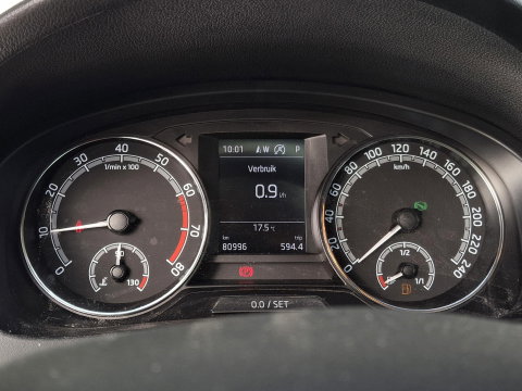 Škoda Rapid Spaceback 1.0 TSI Greentech Drive ** NET BINNENGEKOMEN | PANO | CRUISE | STOELVERWARMING | TREKHAAK