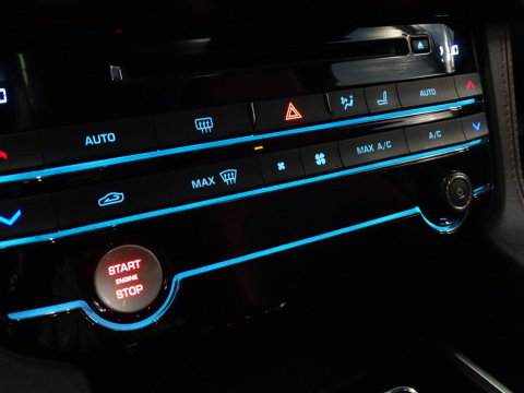 Jaguar F-Pace 3.0 S/C S 381PK / ACC / LED