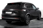 Geely Starray EM-i