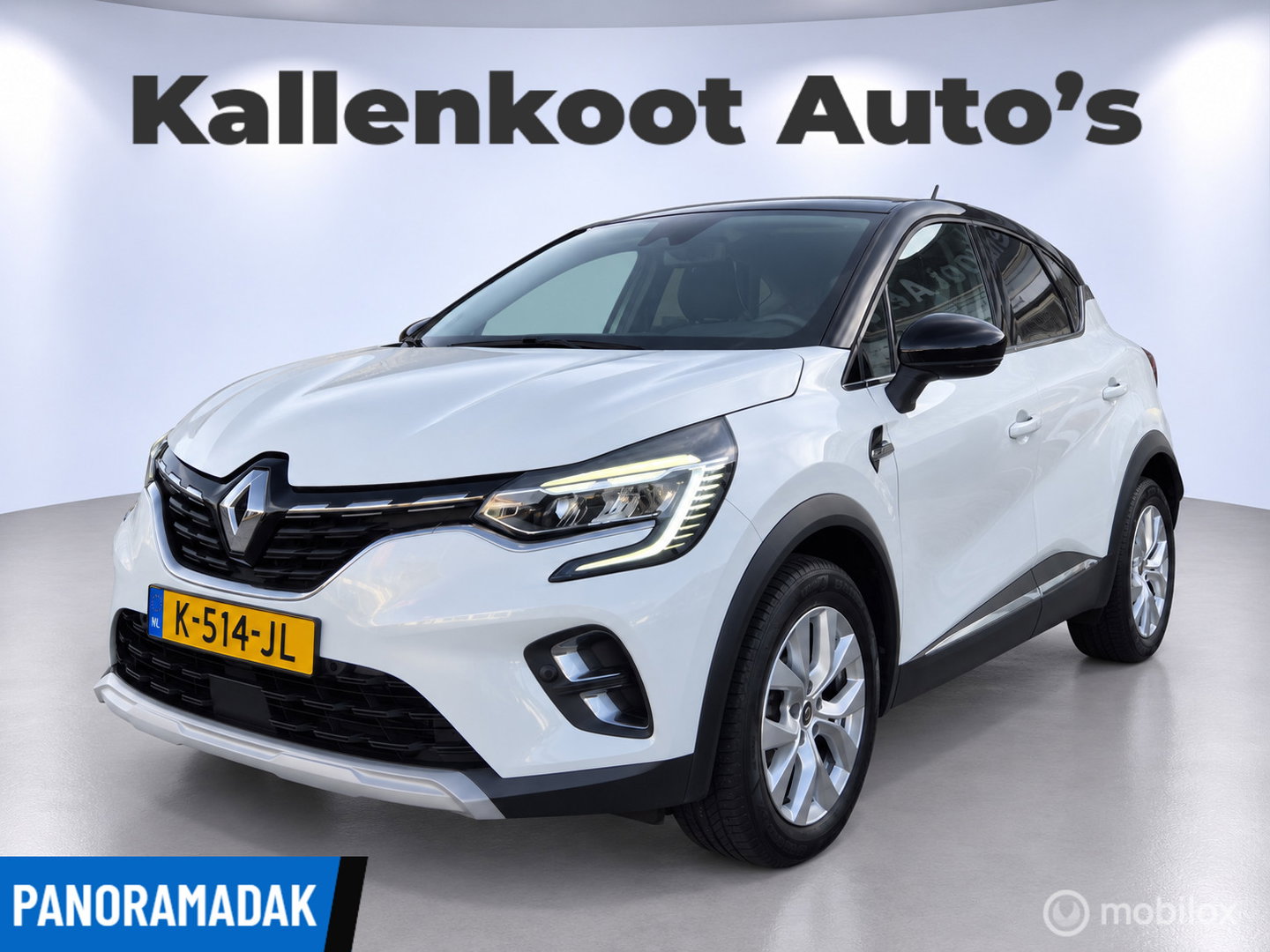 Renault Captur 1.0 TCe 90 Intens, Pano, Dealer onderhouden!