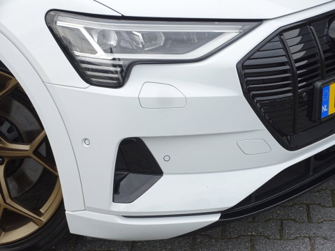 Audi e-tron e-tron 55 Quattro 408PK / pano / 22'' RS / B&O sound / 360°