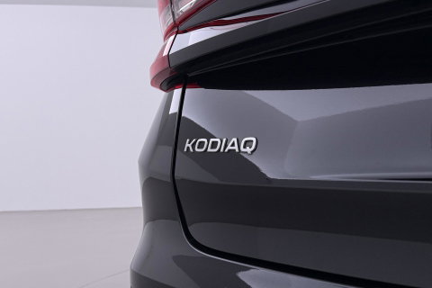 Škoda Kodiaq 1.5 TSI MHEV Business Edition Plus | 7 persoons | ACC | Camera | BLIS | Stoel+Stuurverwarming | Memory | Getint glas | Keyless | 19 Inch