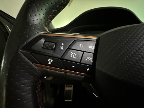 CUPRA Ateca 2.0 TSI 4DRIVE Pano|Beats|BlindSpot|360|Memory