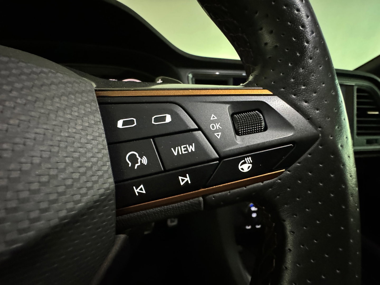 CUPRA Ateca 2.0 TSI 4DRIVE Pano|Beats|BlindSpot|360|Memory