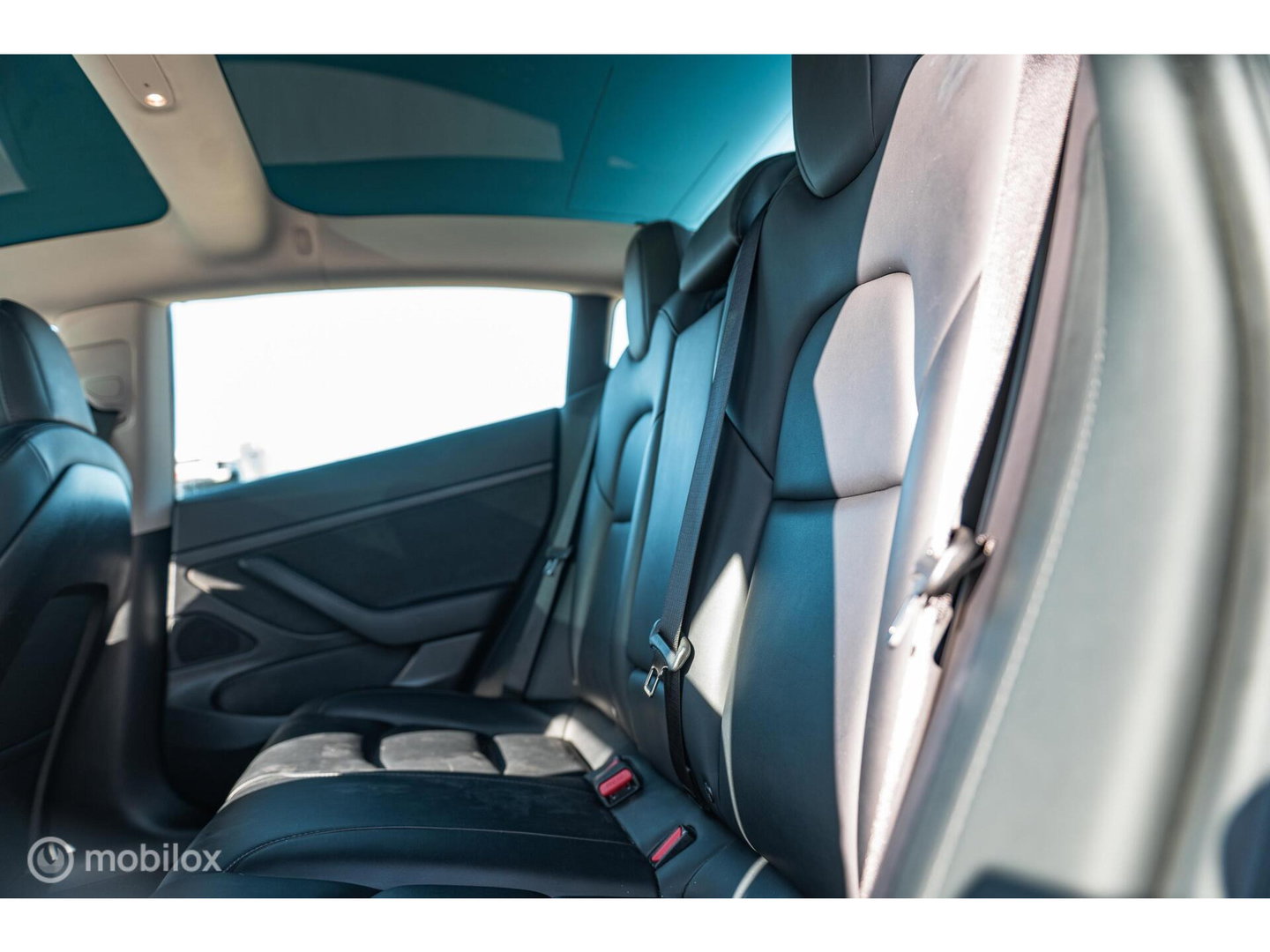 Tesla Model 3 Standard RWD Plus 60 kWh