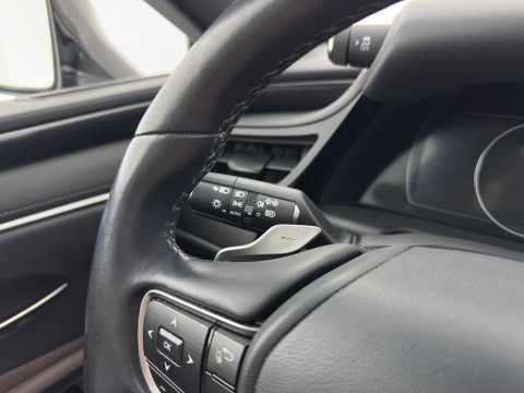 Lexus ES 300h Business Line (INCL-BTW) Aut. *PANO | LEATHER | FULL-LED | ADAPTIVE-CRUISE | BLINDSPOT | KEYLESS | CAMERA | HEATED-COMFORTSEATS | NAVI-FULLMAP | PRIVACY-GLASS | SHIFTPADDLES | ECC | PDC | 18''ALU*