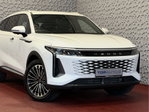 Omoda 9