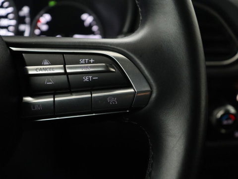 Mazda CX-30 2.0 e-SkyActiv-X M Hybrid Homura