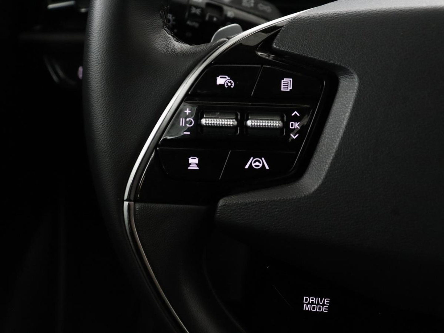 Kia Niro 1.6 GDi PHEV DynamicLine | SOH 96,7% | Navigatie | Apple Carplay | Trekhaak |