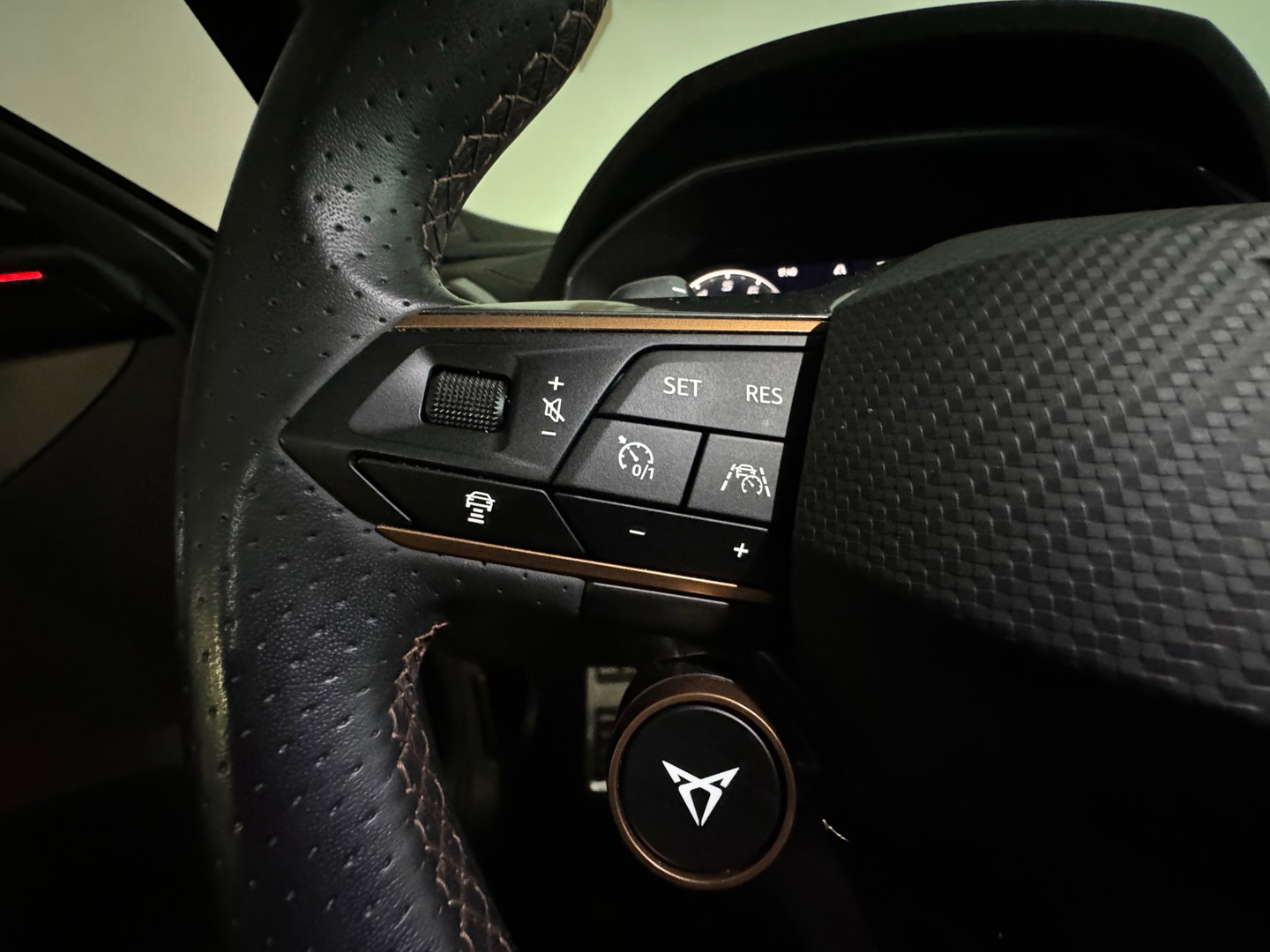 CUPRA Formentor 2.0 TSI 4DRIVE Pano|Dodehoek|Sfeer|360 Camera|Keyless