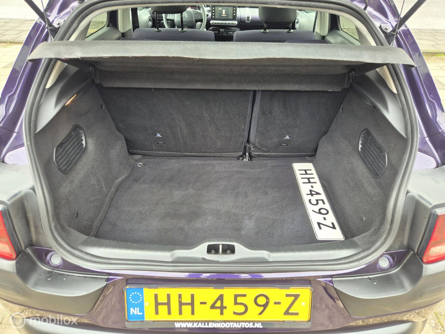 Citroën C4 Cactus 1.2 PureTech Shine, Automaat, Nieuwe DRiem