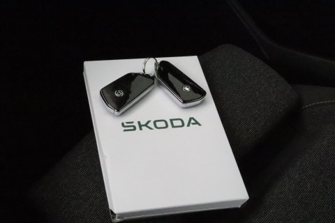 Škoda Kodiaq 1.5 TSI Business Edition Plus | 7 Persoons | Trekhaak | ACC | Camera | Keyless | Stoel+Stuurverwarming | Getint glas | 19 Inch