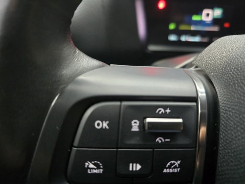Citroën Ë-C4 You 50 kWh Pano HUD PDC Leder Navi Camera LM SOH 90% 18"LM