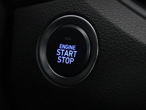 Hyundai i30 2.0 T-GDI N1 Performance | Panoramadak | Memory | Cruise control | Stuur/stoel verwarming | Camera | Park assist | Carplay | Climate control | 19" velgen