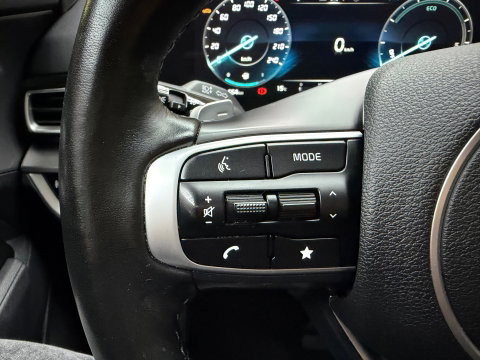 Kia Sportage 1.6 T-GDi MHEV DynamicLine PDC Camera Clima Navi 18"LM