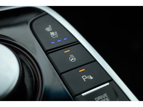 Kia e-Niro 64 kWh | SOH 100% | Rijklaar! | Leder | Stoelventilatie | Camera | Adapt. Cruise | All Seasons