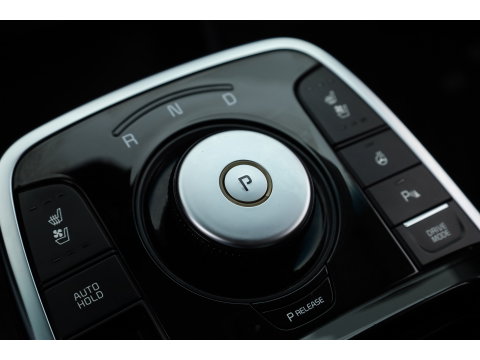 Kia e-Niro 64 kWh | SOH 100% | Rijklaar! | Leder | Stoelventilatie | Camera | Adapt. Cruise | All Seasons