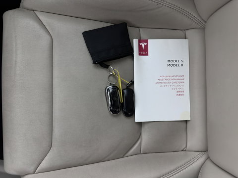 Tesla Model X 100D 7PERS. (INCL. BTW) *AUT | PANO | LEATHER | NAVI-FULLMAP | FULL-LED | AIRSUSPENSION | DIGI-COCKPIT | FASTLOADER | KEYLESS | DAB+ | HEATED-SPORTSEATS | PRIVACY-GLASS | AUTOPILOT |  20"ALU*
