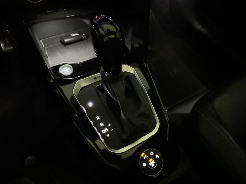 Volkswagen T-Roc 2.0 TSI 4Motion R Pano|Akra|Beats|Volleder