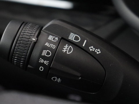 Polestar 2 | SOH 94,9% | Cruise control | Lane assist | Stoelverwarming | Memory | Carplay | Camera | Park assist | Climate control