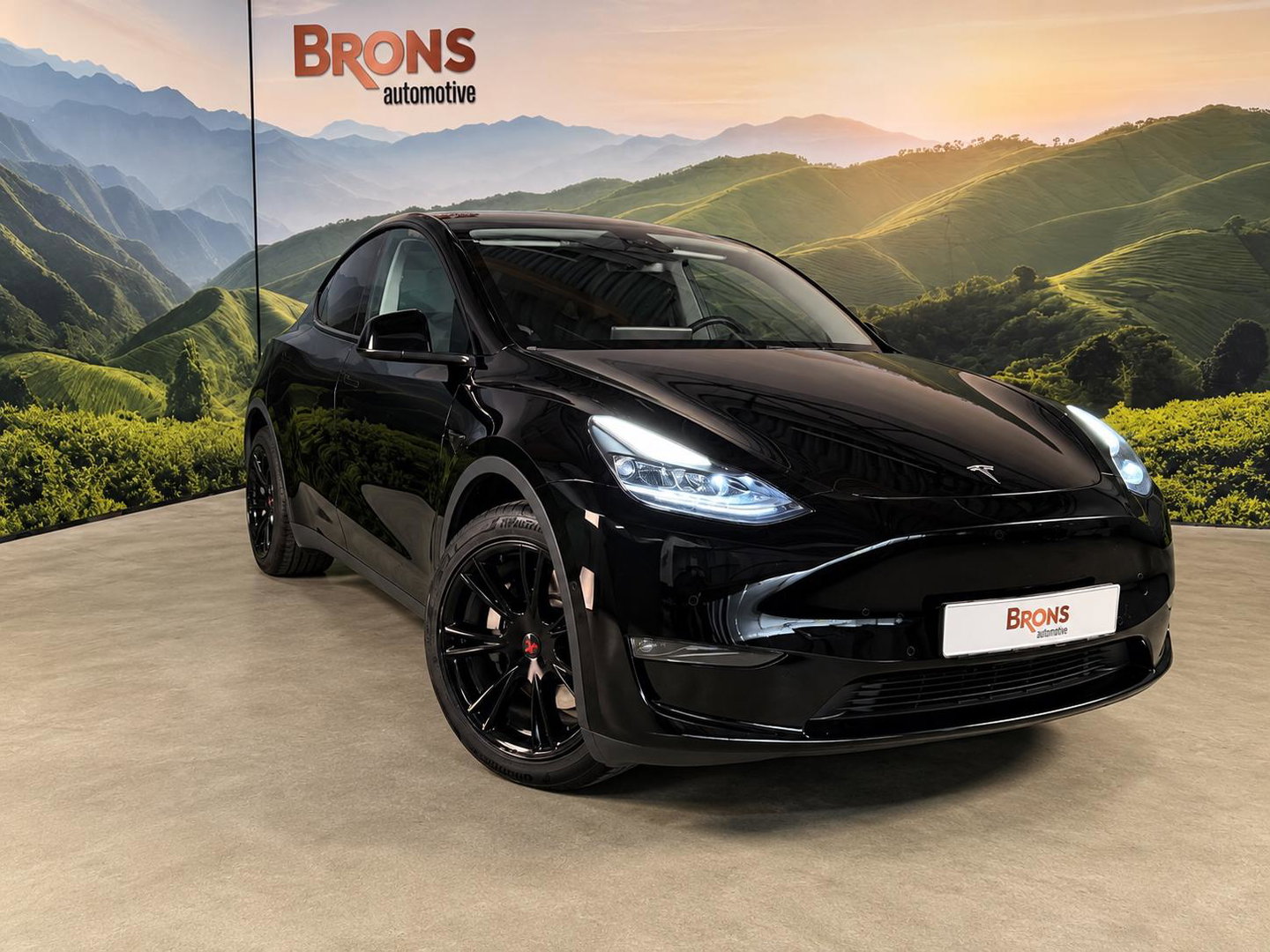 Tesla Model Y Long Range Dual Motor AWD 75 kWh