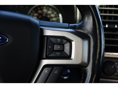 Ford USA F-150 3.5 V6 Ecoboost SuperCrew Camera, Cruise, Carplay, Leder, Stoelverwarming, Automaat, LED, 3500kg Trekhaak, Uniek!