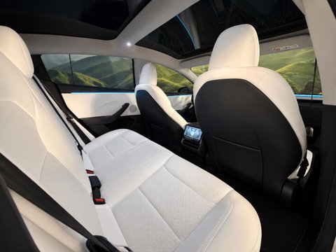 Tesla Model 3 RWD 60 kWh Knob/ stalks van Enhance l trekhaak l 19 inc
