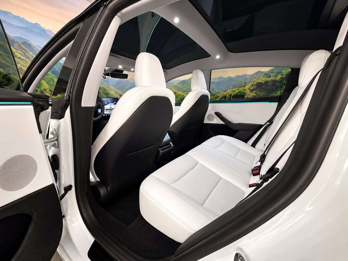 Tesla Model 3 RWD 60 kWh Knob/ stalks van Enhance l trekhaak l 19 inc