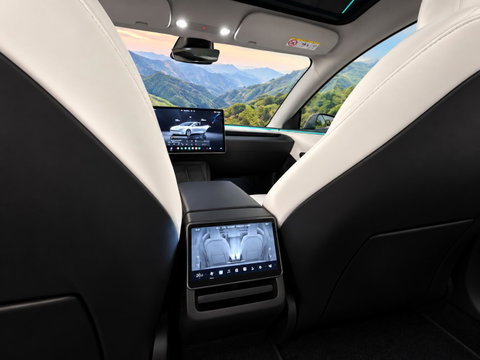 Tesla Model 3 RWD 60 kWh Knob/ stalks van Enhance l trekhaak l 19 inc