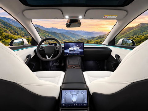 Tesla Model 3 RWD 60 kWh Knob/ stalks van Enhance l trekhaak l 19 inc